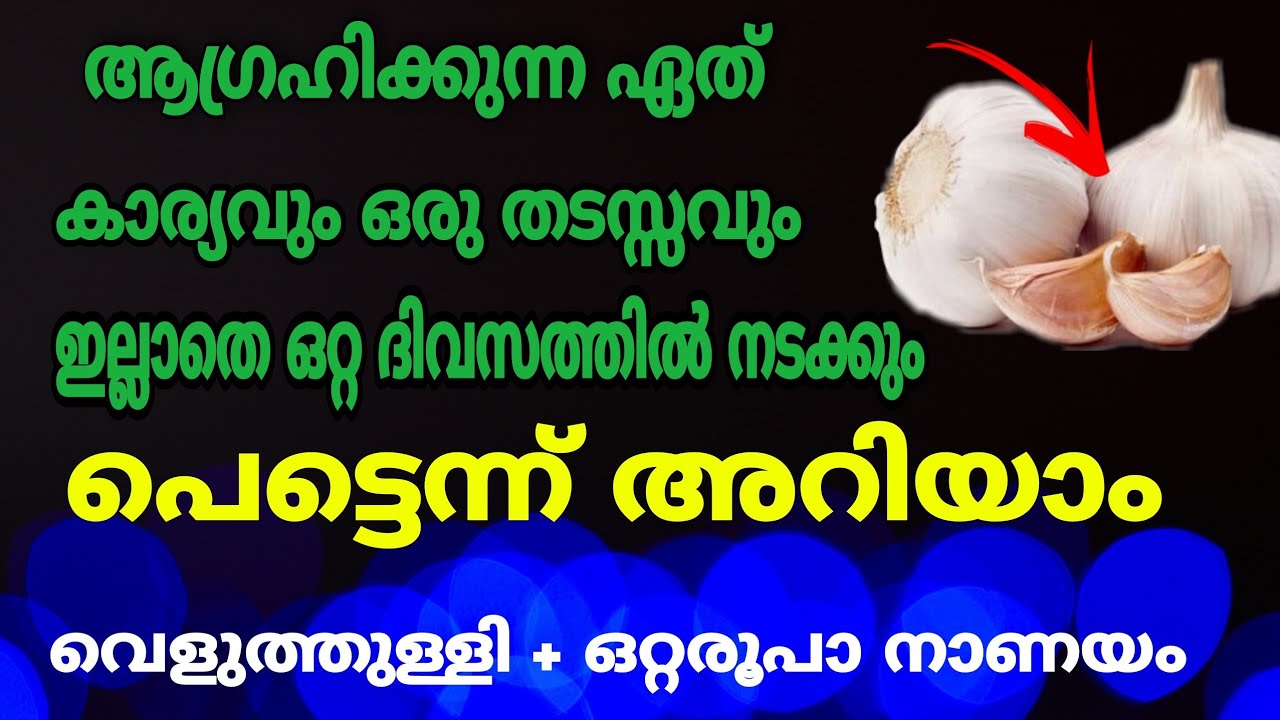 ആഗ്രഹിക്കുന്ന എന്ത് കാര്യവും നേടിയെടുക്കാം വെളുത്തുള്ളി ഒറ്റ രൂപ നാണയം മതി…