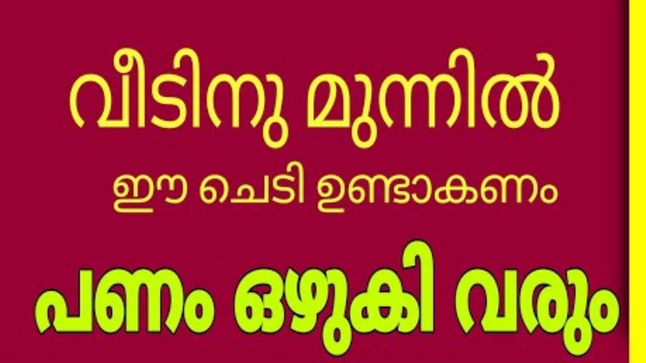 വീടിനുമുന്നിൽ ഈ ചെടി ഉണ്ടായാൽ ഐശ്വര്യം ഉണ്ടാകും…