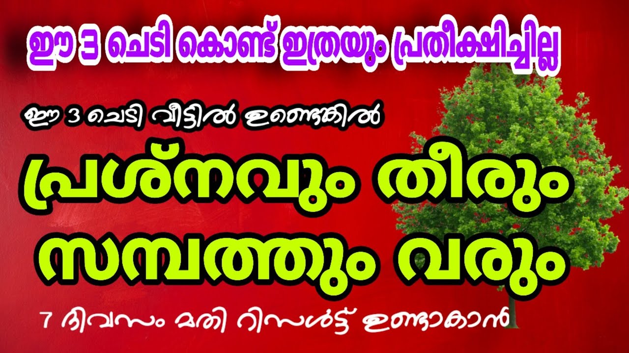 ഈ ചെടി വീട്ടിൽ ഉണ്ടെങ്കിൽ സകല പ്രശ്നവും തീരും… സമ്പത്ത് കുമിഞ്ഞുകൂടും…