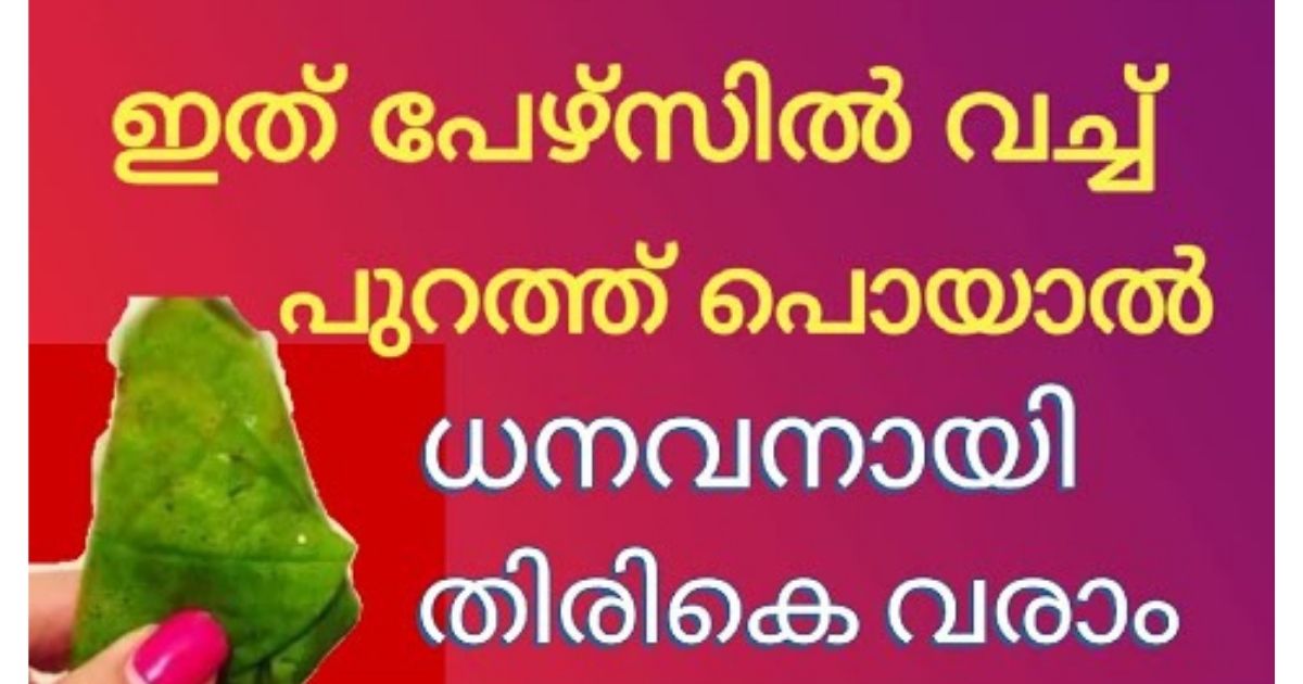 പേഴ്സിൽ ഇത് വെച്ചിട്ടുണ്ടോ… ഇപ്പോഴും പണം ഉണ്ടാകും…