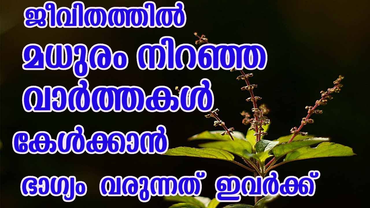 ഈ നാളുകാർ ഇനി കുതിച്ചുയരും… ജീവിതത്തിൽ വലിയ ഭാഗ്യം…