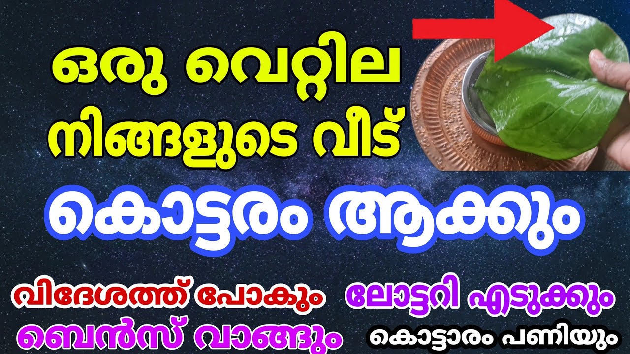 വെറ്റില ഉണ്ടോ വീട് കൊട്ടാരം ആക്കാം… ലോട്ടറി ഭാഗ്യം വരെ ഉണ്ടാകും..!!