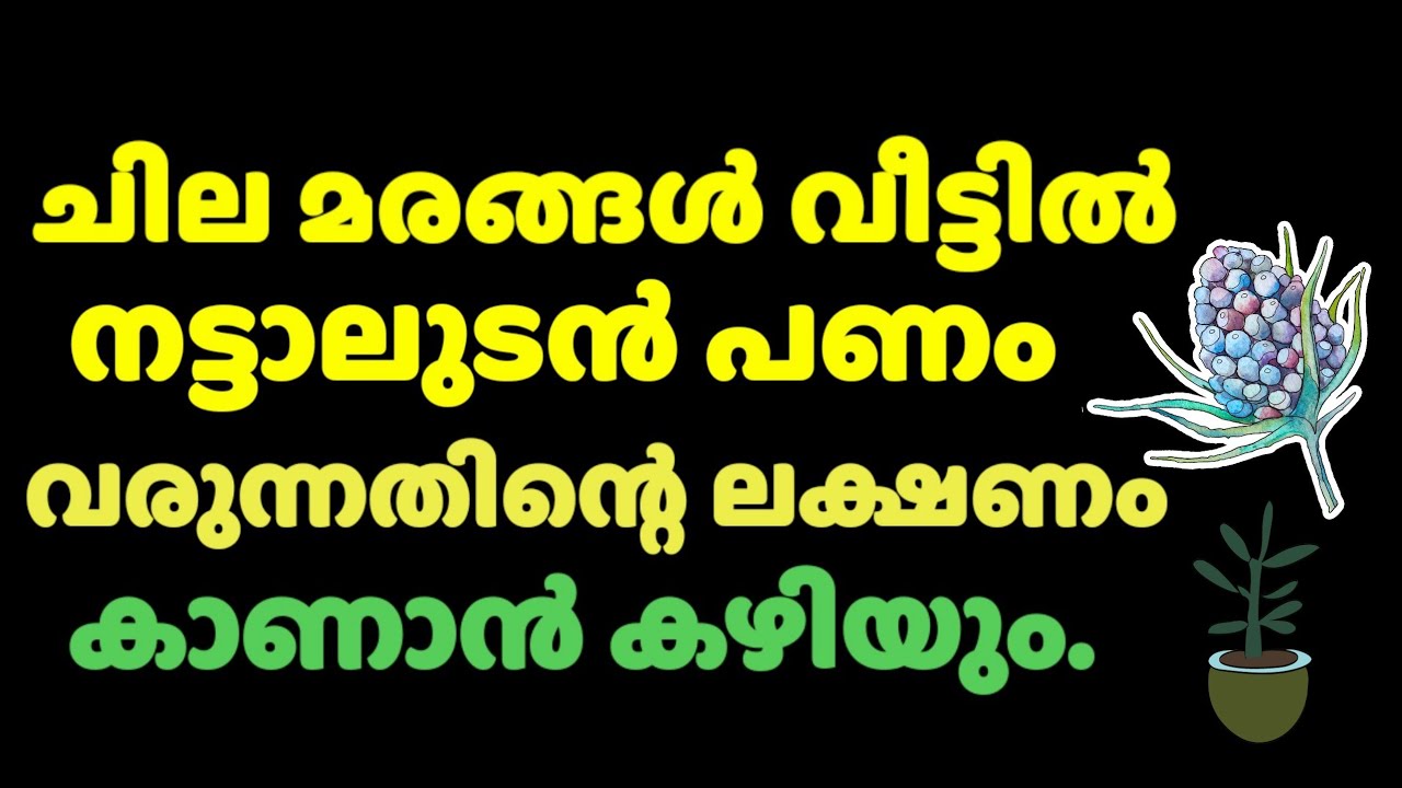 ഈ മരങ്ങൾ വീട്ടിലുണ്ടോ… ഇല്ലെങ്കിൽ നടുക… ഉടനെ പണമുണ്ടാകുന്ന ലക്ഷണം കാണാം..!!