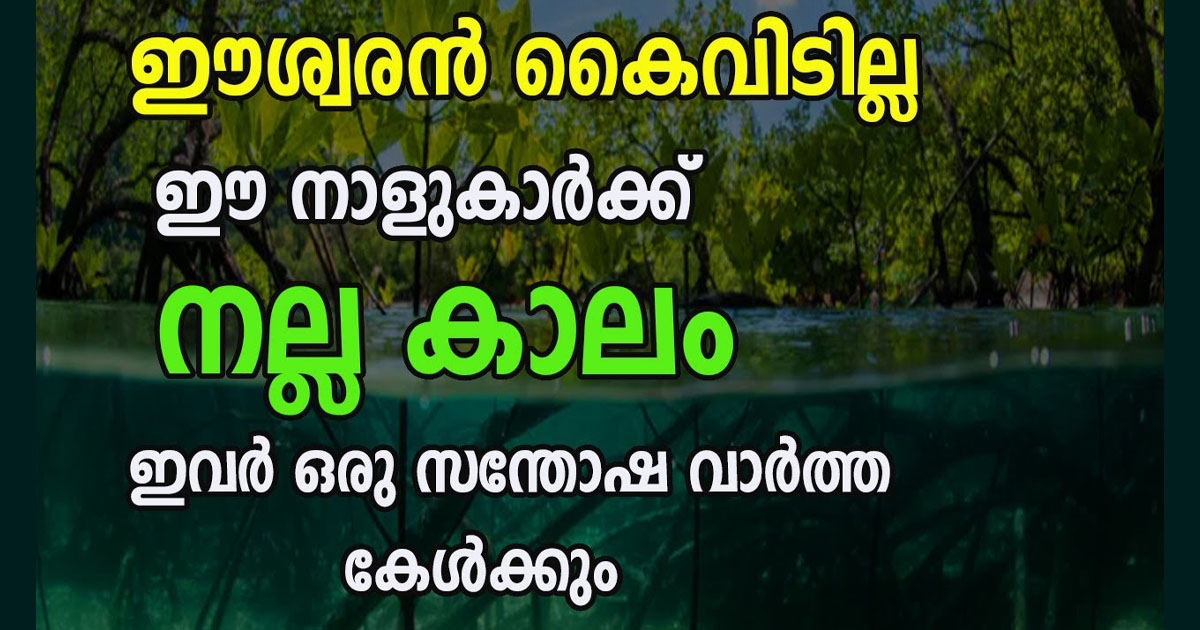 ഈ നക്ഷത്രക്കാരുടെ ജീവിതം ഉയർച്ചയിലേക്ക് കടന്നുഉയരും …., തീർച്ച