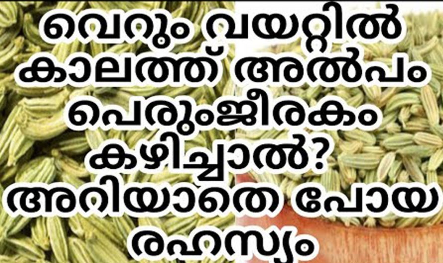 ദിവസവും വെറും വയറ്റിൽ പെരുംജീരകം ചവച്ച് അരയ്ക്കുന്നത് കൊണ്ടുള്ള ഗുണങ്ങൾ എന്തൊക്കെയാണ്…| Benefits of fennel seeds