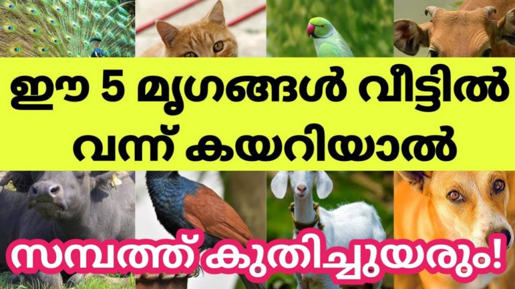 Kerala daily astrology