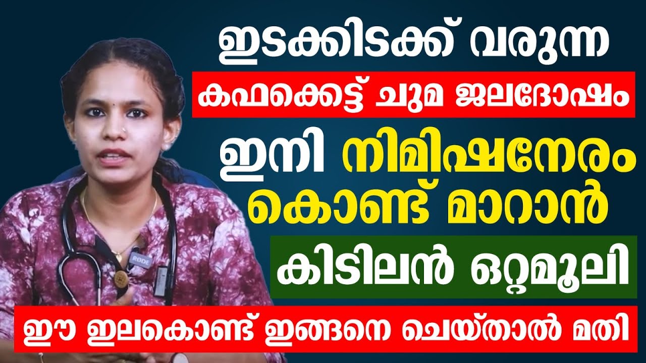 കഫക്കെട്ട് ഒരിക്കലും മാറുന്നില്ലേ ..? എന്നാൽ നിങ്ങൾ ചെയ്യുന്ന തെറ്റുകൾ ഇതൊക്കെയാണ്…| Cough and cold medicine