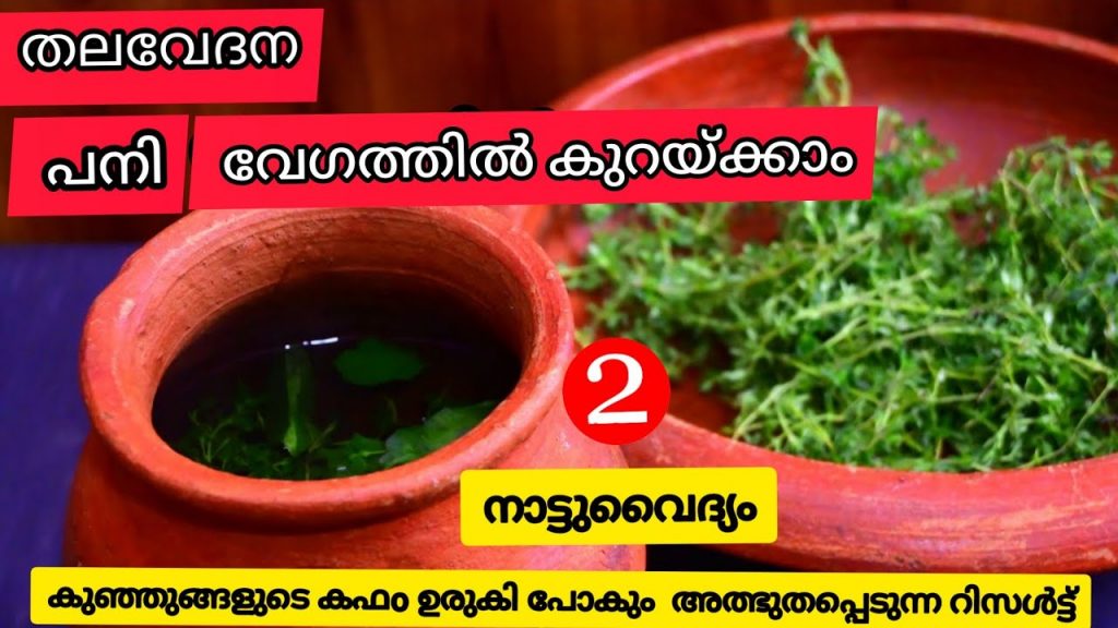 Remedy to Reduce Fever